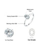 1ct - Silver / 9