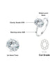 2ct - Silver / 9